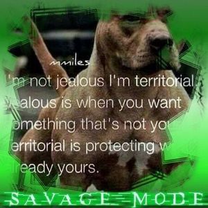 Meet your Posher, Stephen